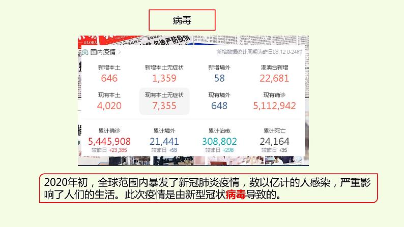 10、《 细菌和病毒》教学课件08