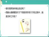 湘科版科学五上：1.2 人体指挥部—脑PPT课件+内嵌视频