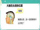 湘科版科学五上：1.3 保护我们的脑 PPT课件