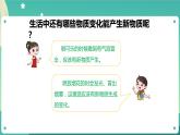 湘科版科学五上：4.4 生活中的物质变化 PPT课件