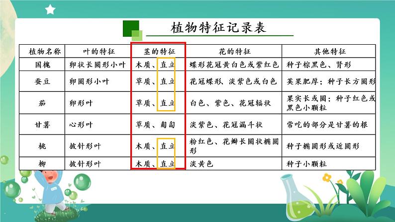 新人教鄂教版科学六上：2.4 植物的简单分类（2课时） PPT课件+视频02