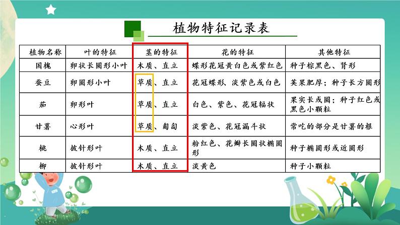 新人教鄂教版科学六上：2.4 植物的简单分类（2课时） PPT课件+视频03