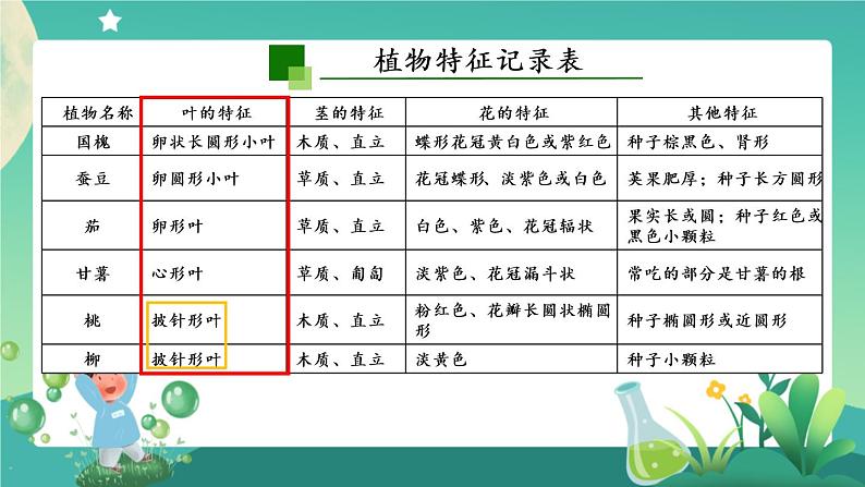 新人教鄂教版科学六上：2.4 植物的简单分类（2课时） PPT课件+视频04