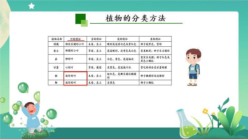 新人教鄂教版科学六上：2.4 植物的简单分类（2课时） PPT课件+视频05