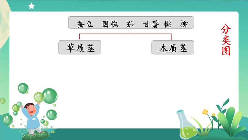 新人教鄂教版科学六上：2.4 植物的简单分类（2课时） PPT课件+视频07