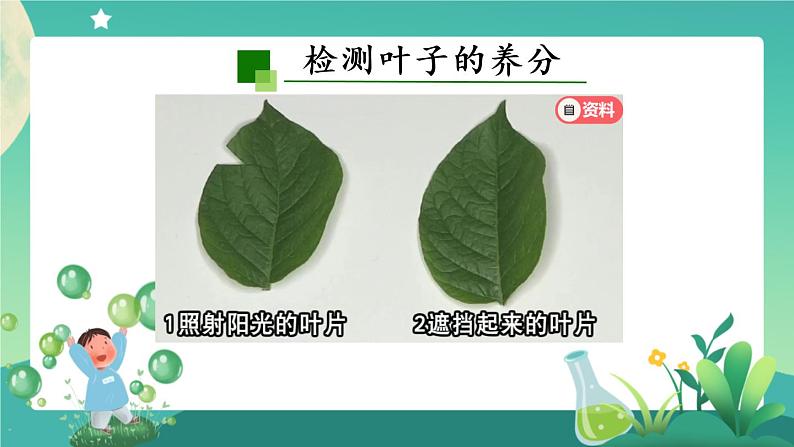 2.5 植物的光合作用(第二课时) PPT课件+内嵌视频第6页