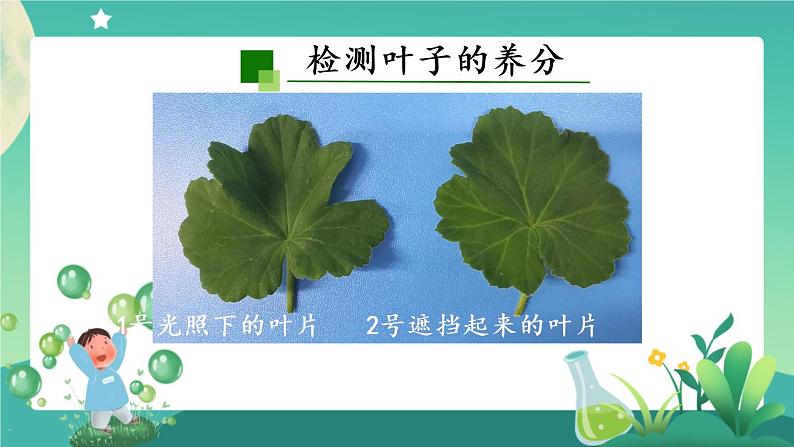 2.5 植物的光合作用(第二课时) PPT课件+内嵌视频第7页