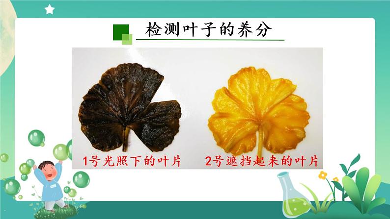 2.5 植物的光合作用(第二课时) PPT课件+内嵌视频第8页