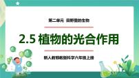 小学科学人教鄂教版 (2017)六年级上册5 植物的光合作用获奖ppt课件