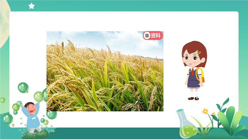 新人教鄂教版科学六上：2.5 植物的光合作用（2课时） PPT课件+视频04