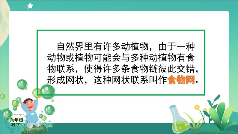 新人教鄂教版科学六上：2.6 食物链（2课时）PPT课件03