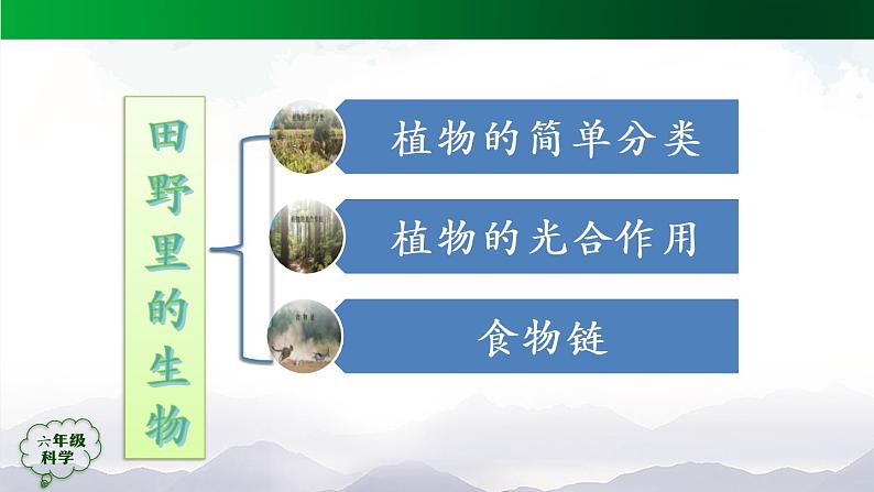 新人教鄂教版科学六上：第二单元 田野里的生物(单元回顾) PPT课件+视频03