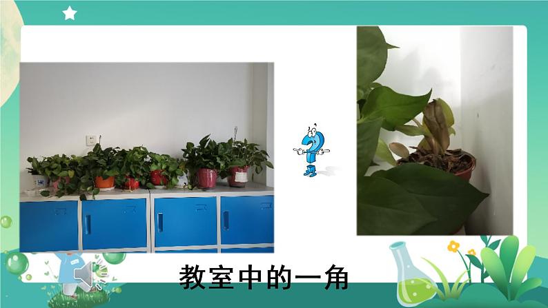 新人教鄂教版科学六上：5.17 设计与建造“植物工厂”（第1课时）PPT课件+教案+练习+任务单03