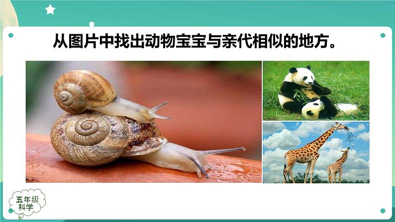 孩子与父母 第二课时 课件PPT第3页