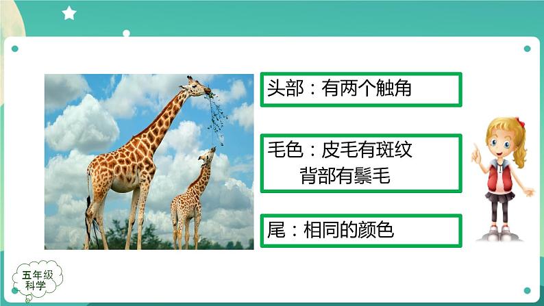 孩子与父母 第二课时 课件PPT第4页