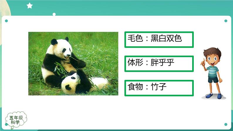 孩子与父母 第二课时 课件PPT第5页