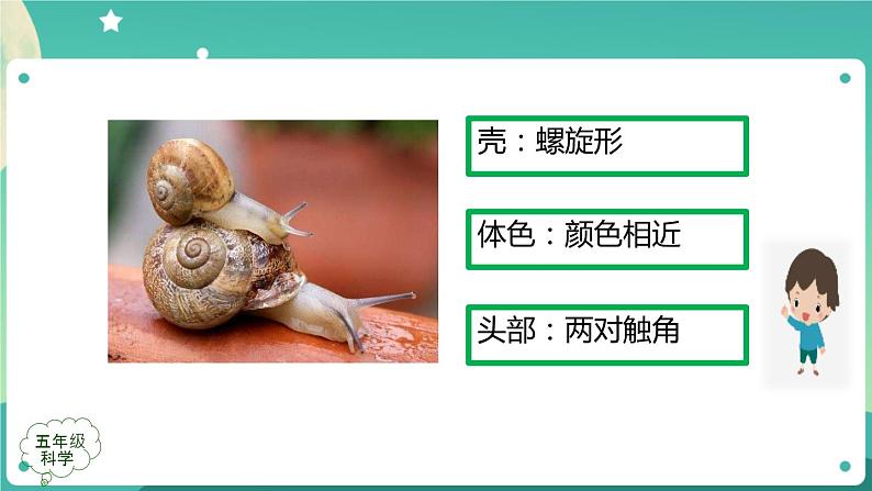 孩子与父母 第二课时 课件PPT第6页