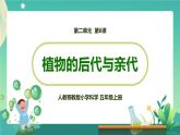 新人教鄂教版五上科学：2.6 植物的后代与亲代 课件PPT+内嵌视频