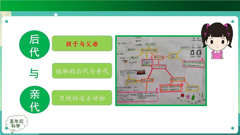 新人教鄂教版五上科学：第二单元 后代与亲代 单元复习课件PPT+教学设计06