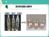 新人教鄂教版五上科学：3.8 水中的微小生物（第2课时）PPT课件+教案+任务单