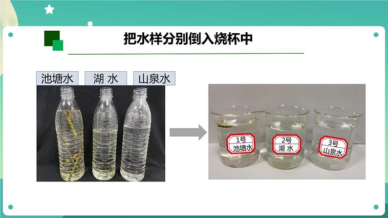 新人教鄂教版五上科学：3.8 水中的微小生物（第2课时）PPT课件+教案+任务单03