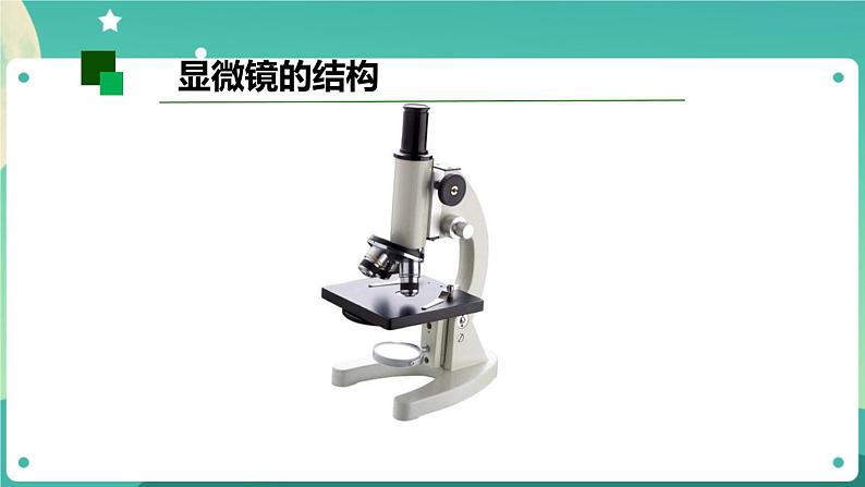 新人教鄂教版五上科学：3.8 水中的微小生物（第2课时）PPT课件+教案+任务单05