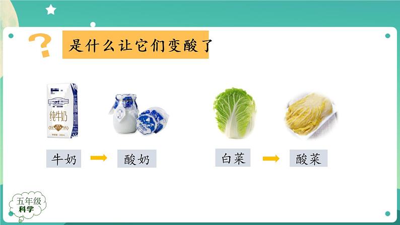 新人教鄂教版五上科学：3.10 多种多样的微生物 课件PPT+内嵌视频第2页