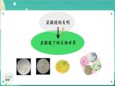 新人教鄂教版五上科学：第三单元 显微镜下的生物世界 回顾课件PPT+内嵌视频