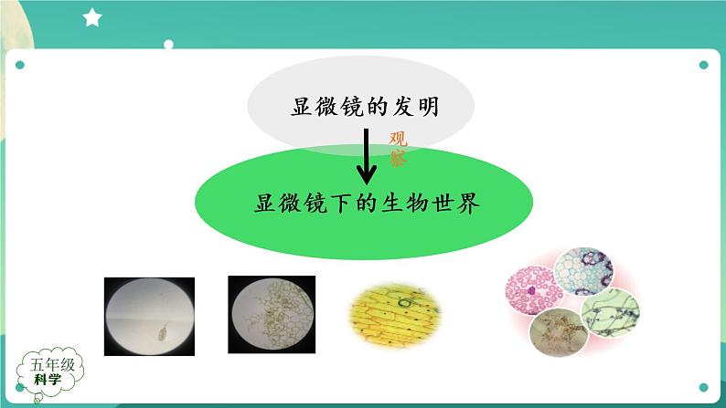 新人教鄂教版五上科学：第三单元 显微镜下的生物世界 回顾课件PPT+内嵌视频03