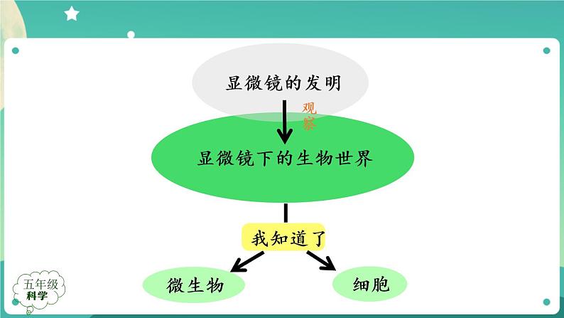 新人教鄂教版五上科学：第三单元 显微镜下的生物世界 回顾课件PPT+内嵌视频04