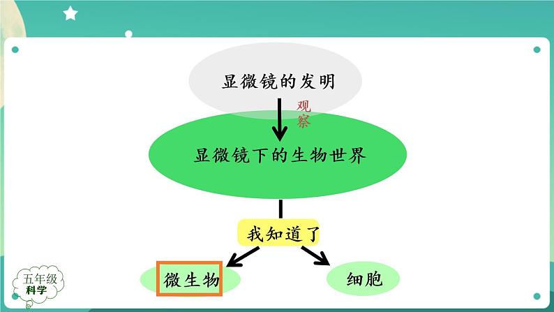 新人教鄂教版五上科学：第三单元 显微镜下的生物世界 回顾课件PPT+内嵌视频06