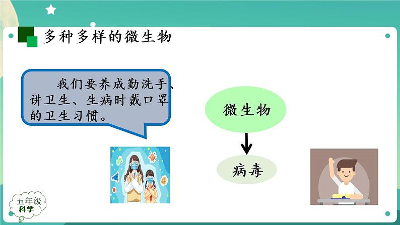 新人教鄂教版五上科学：第三单元 显微镜下的生物世界 回顾课件PPT+内嵌视频07