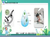 新苏教版科学五下 2 微小的生命体 PPT课件+教案+素材