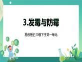 新蘇教版科學五下 3發(fā)霉與防霉 PPT課件+教案