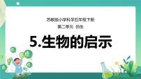 2021学年5 生物的启示优秀课件ppt