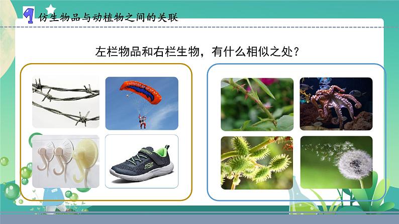 5.生物的启示（课件）第3页