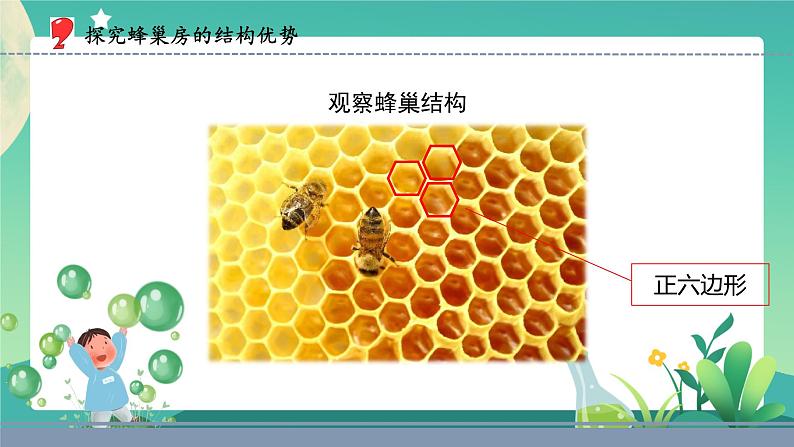 5.生物的启示（课件）第5页