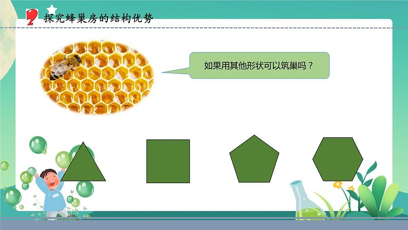5.生物的启示（课件）第6页
