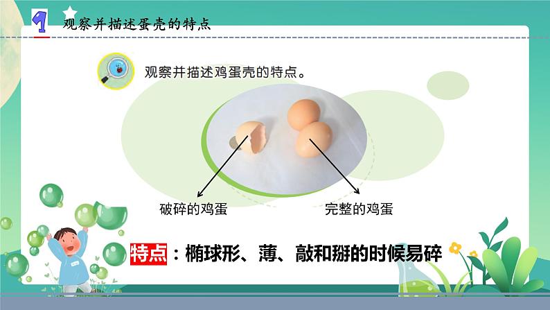 新苏教版科学五下 6 蛋壳与拱形建筑 PPT课件+教案03