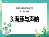 新苏教版科学五下 7 海豚与声呐 PPT课件+教案+素材