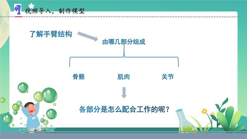 苏教版五年级科学下册2.8我们来仿生（课件）第3页