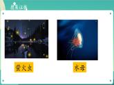 新大象版科学五年级下册 1.1 光从哪里来 课件PPT+视频