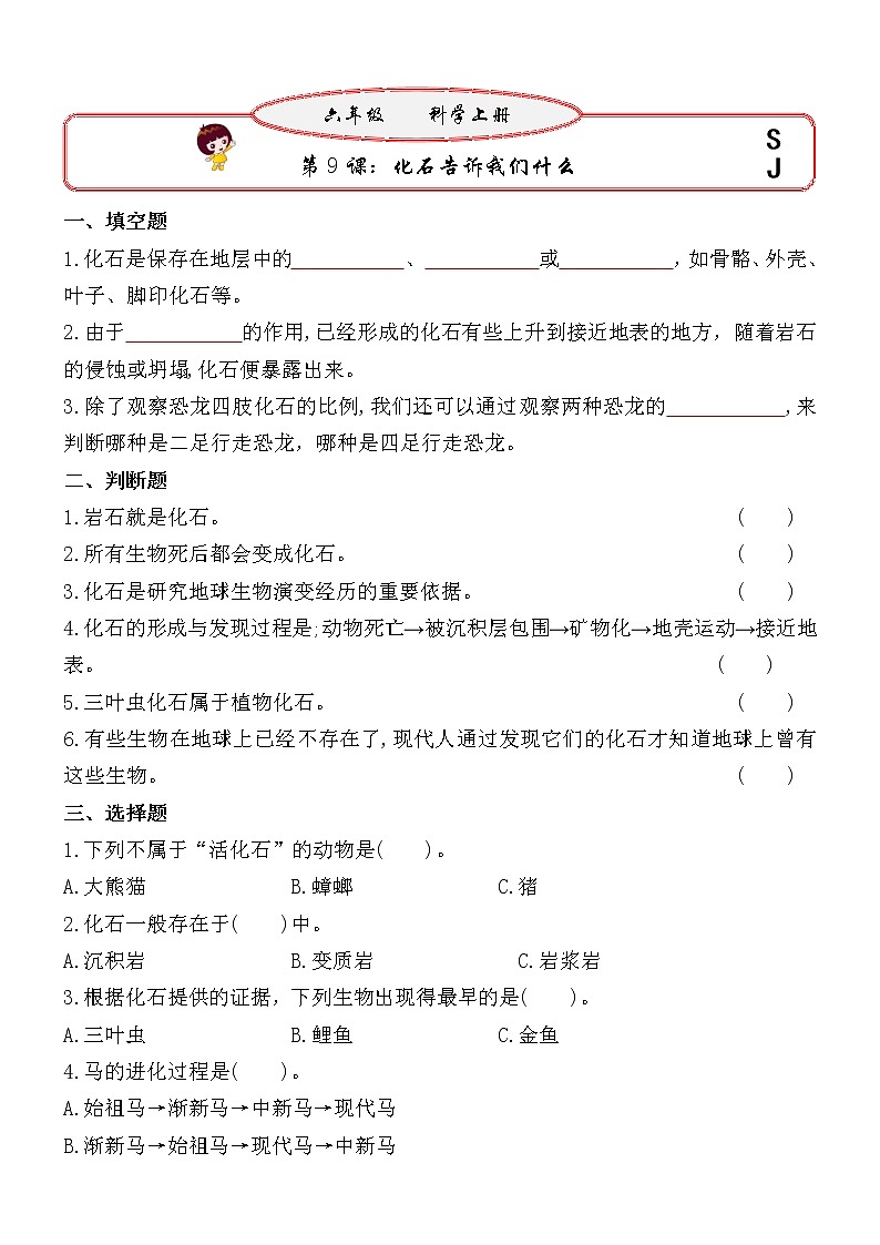 新苏教版六年级上册科学 第9课《化石告诉我们什么》基础过关练习（含答案）01
