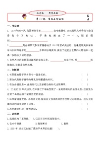 小学科学10 用化石作证据同步测试题