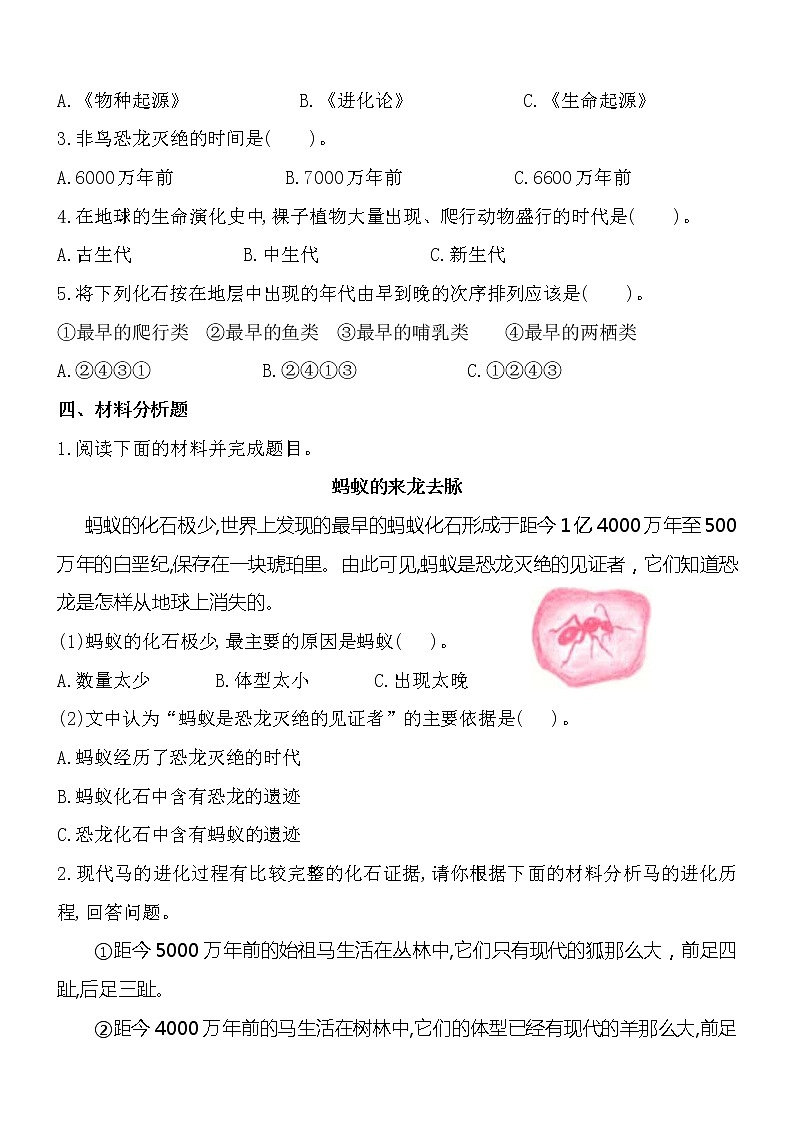 新苏教版六年级上册科学 第10课《用化石作证据》基础过关练习（含答案）02