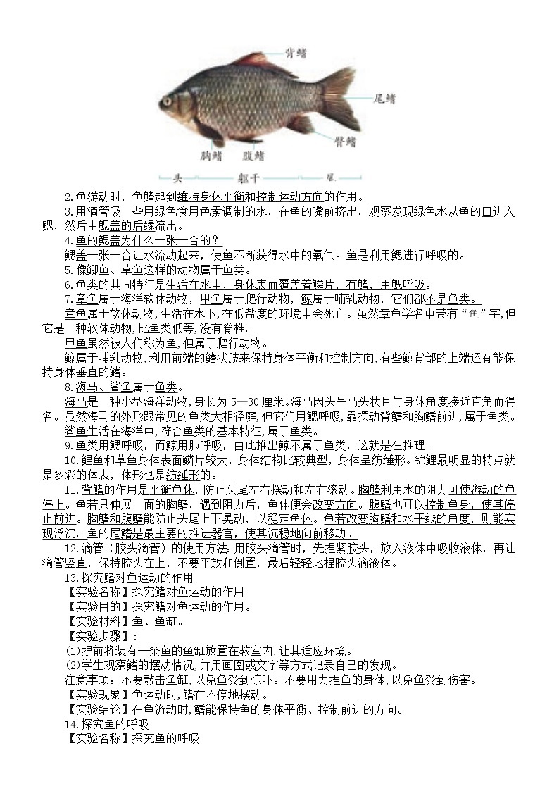 小学科学青岛版五四制四年级上册第一单元《动物王国》知识点（共5课）（2022秋）02