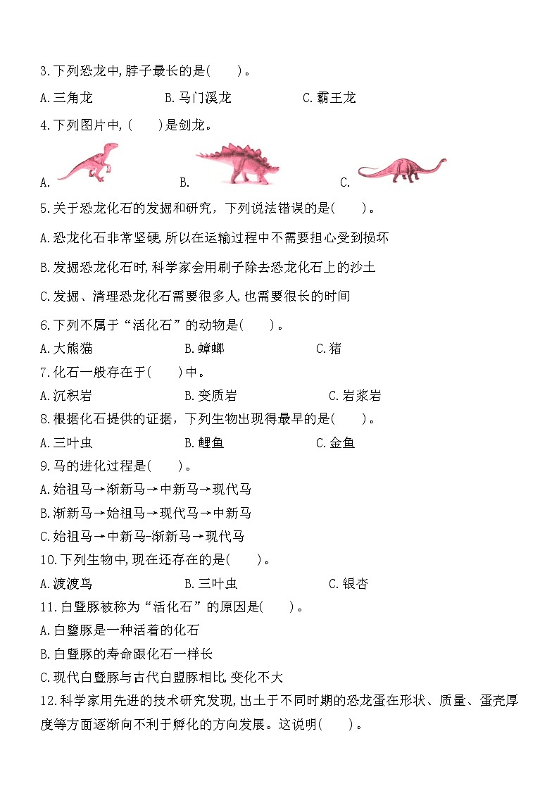 新苏教版六年级科学上册 第三单元《化石的奥秘》测试卷（B卷）03