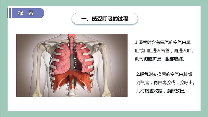 教科版(2017)科学四年级上册2.1《感受我们的呼吸》课件+教案+练习08