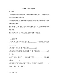 小学科学2 阳光下影子的变化课后复习题