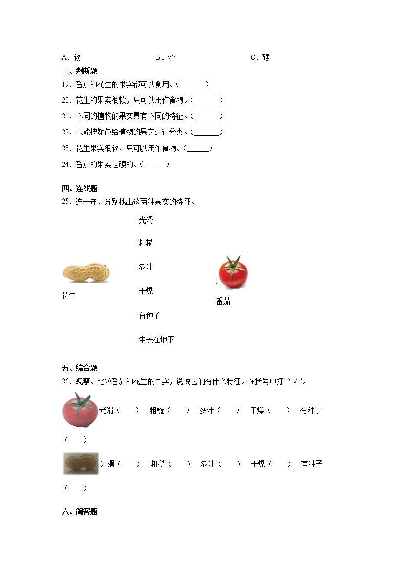 粤教版二上科学 4.番茄与花生 同步练习（含答案）02